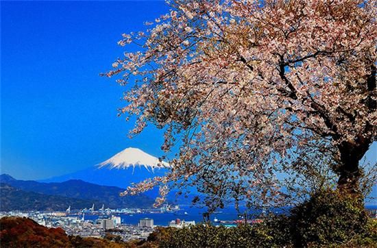 日本静冈展开春节宣传 吸引中国游客扩大内需