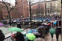 国内升学太闹心，移民就能轻松了吗？