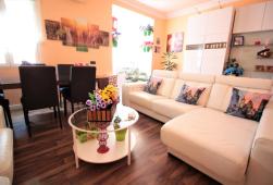 西班牙马德里丽池公园精装三居-YMP-V176