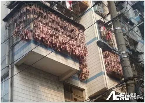 除夕将至, 华人这样的
