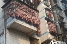 除夕将至, 华人这样的