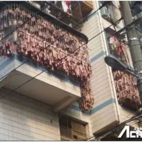 除夕将至, 华人这样的