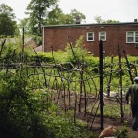 已经没人能阻止中国人种菜了？那是他们还没遇上美国邻居