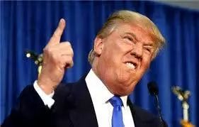 工作十年的我没拼过刚毕业的美国女孩，只因中国教育缺了这些...