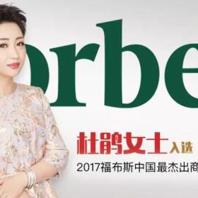 破产、无人继承、流拍，富贵鸟的遭遇令人唏嘘，其实本还有机会自救