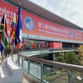 进博会 | 主宾国希腊全方位展现“共享的文化”,中希合作更紧密  中希时报  移民帮  昨天