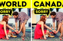 加拿大每天人均要说4.5万次“sorry”？！Why？