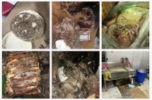 给孩子吃发霉水果、变质冻肉，对比国外学校餐食才知何为“食育”？