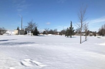 加拿大有多冷？反正东北人去了扛不住