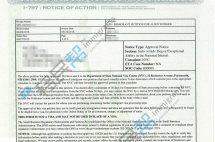 成功案例 | 计算机专业人才申请NIW，仅8个月无补件获批！