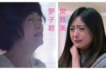 文章马伊琍离婚！当爱情没了，你要保证自己至少还有面包