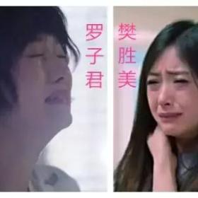 文章马伊琍离婚！当爱情没了，你要保证自己至少还有面包