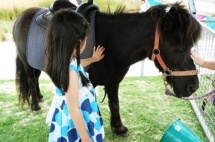 为什么在澳洲女性不怕生孩子？全职妈妈很多却没有任何压力？