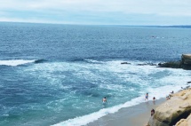 加州生活成本高，华人一家四口靠老公一人工作养家，如何控制开销？