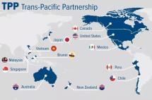 中国联手14国签RCEP，亚太版“欧盟”横空出世！美国措手不及！