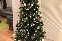 移民后，终于明白了为什么圣诞节对于孩子如此重要？