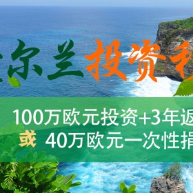 爱尔兰新财年预算案，加福利、减税，想移民的了解下这个优质项目~