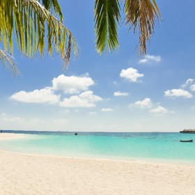 盘点 | 富人喜爱的加勒比海护照项目有哪些，要怎么选？