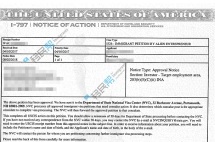 成功案例|500强企业高管为教育移民美国，16个月获批