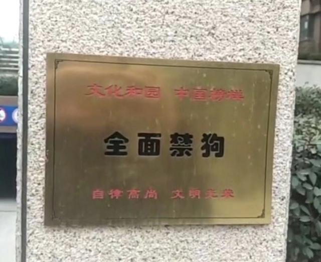 国内又见禁狗令？看看美国人是怎么跟狗和谐相处的