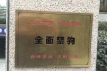 国内又见禁狗令？看看美国人是怎么跟狗和谐相处的