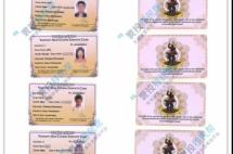 不到10万块钱，一家四口7天获批瓦努阿图永居卡，入读上海国际学校不再愁！