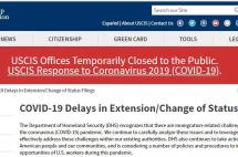 张伟丽终于要回国了，如果你还滞留美国，签证快到期了怎么办？