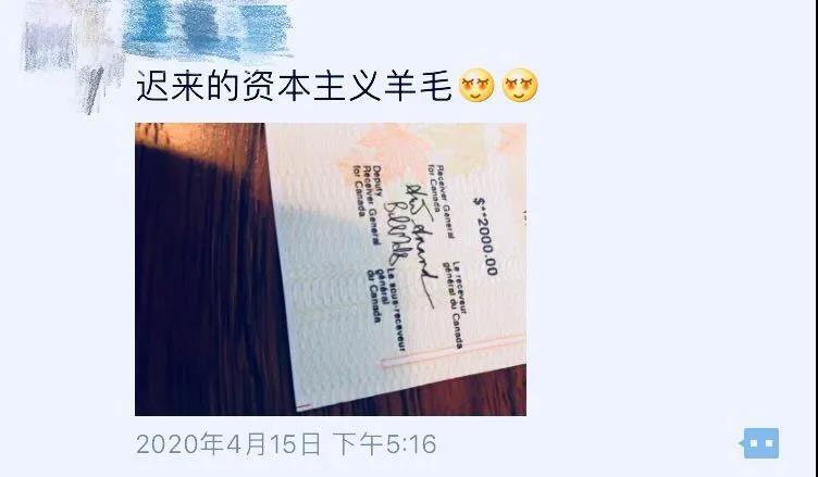 疫情期间加拿大各种补贴陆续到账，因操作简单，到账快，备受好评