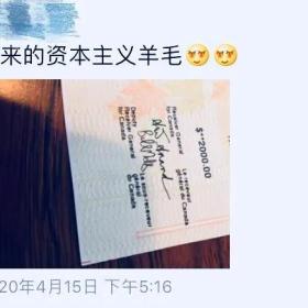 疫情期间加拿大各种补贴陆续到账，因操作简单，到账快，备受好评