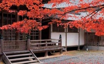 日本定居永住条件