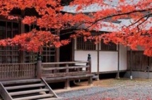 日本定居永住条件