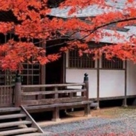 日本定居永住条件