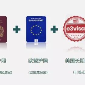 疫情下全球护照排行榜重新洗牌！美国“一落千丈”，这五个国家变第一！