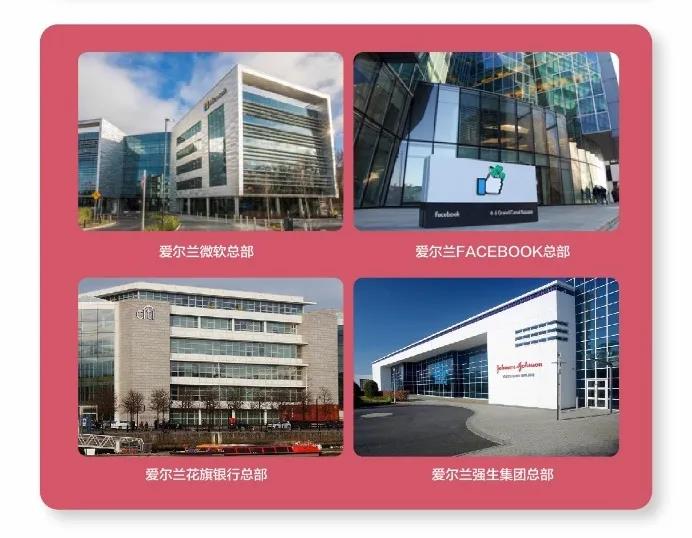 从小学到大学，都被爱尔兰安排的明明白白...