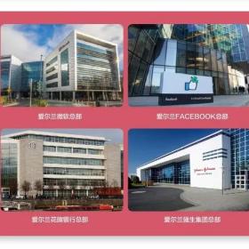 从小学到大学，都被爱尔兰安排的明明白白...