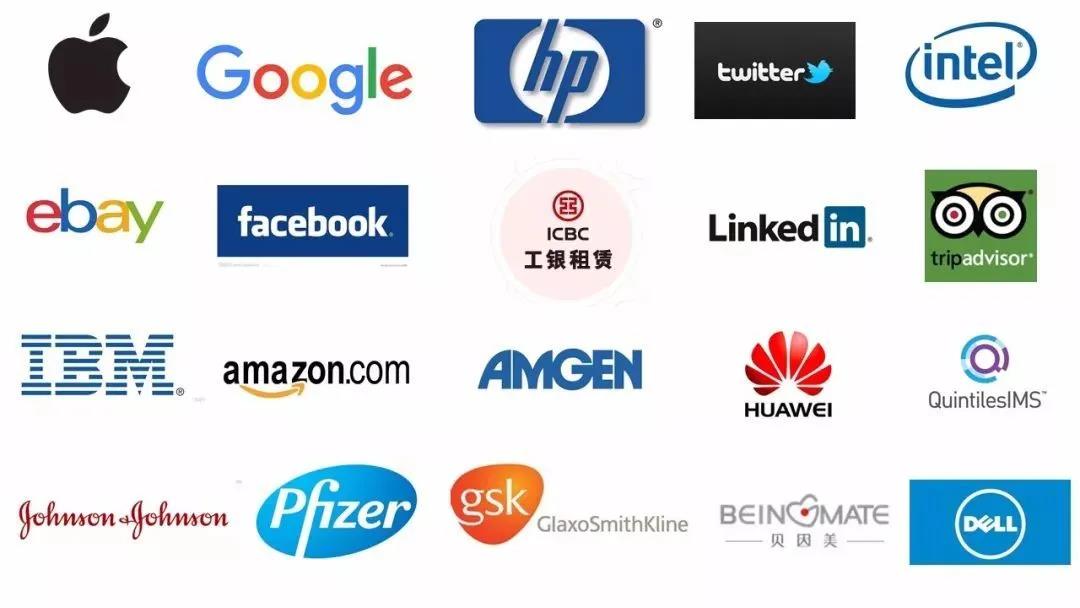 爱尔兰教育的高光：Transition Year过渡年！