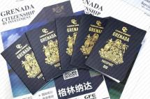 格林纳达投资入籍计划2021年上半年数据公布，申请量较去年同期增长28%