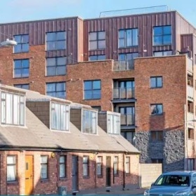 爱尔兰福利房进展顺利：Ⅰ期建设速度加快，Ⅱ期即将开始招标及地基工程