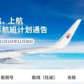 @华侨华人，这些最新国际航班信息，你都知道了吗？