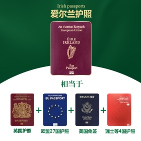 企业家最需要哪国护照？