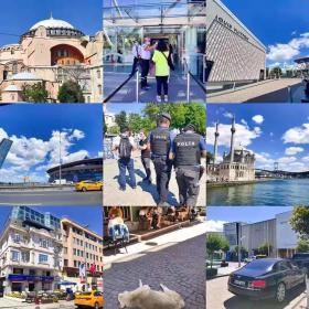 移民故事|90后创业女孩：因为一片海，钟情一座城，在这充满扎实幸福感