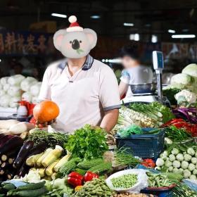 【移民故事】农村夫妻：“我们是农民，孩子却在希腊进击高阶人生”！