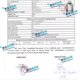 成功案例|恭喜J女士一家成功办理土耳其护照！全程国内办理，不到5个月获批！