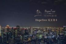 天王寺商圈艺术民宿HopeTree天王寺1月份最新施工进展播报来喽