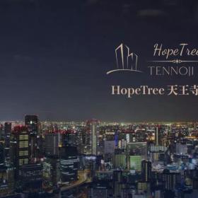 天王寺商圈艺术民宿HopeTree天王寺1月份最新施工进展播报来喽