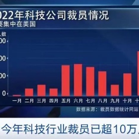 美国裁员潮，持H1B签证的员工至少一半无法及时找到工作