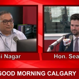 加拿大移民今年无大赦？雇主类担保移民依然利好