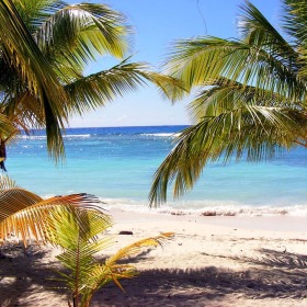 今日正式实施！多米尼克投资入籍项目迎来多项调整！