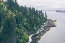 加拿大签证2023年3月最新审理周期盘点