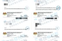 多组家庭获批马来西亚第二家园！他说：“想给家人一个慢下来的家！”